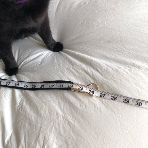 Pack of 3 black stretchy belts. - Picture 2 of 2